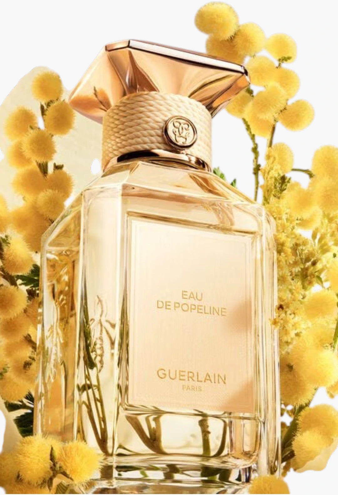 Eau de Popeline - Eau de Toilette