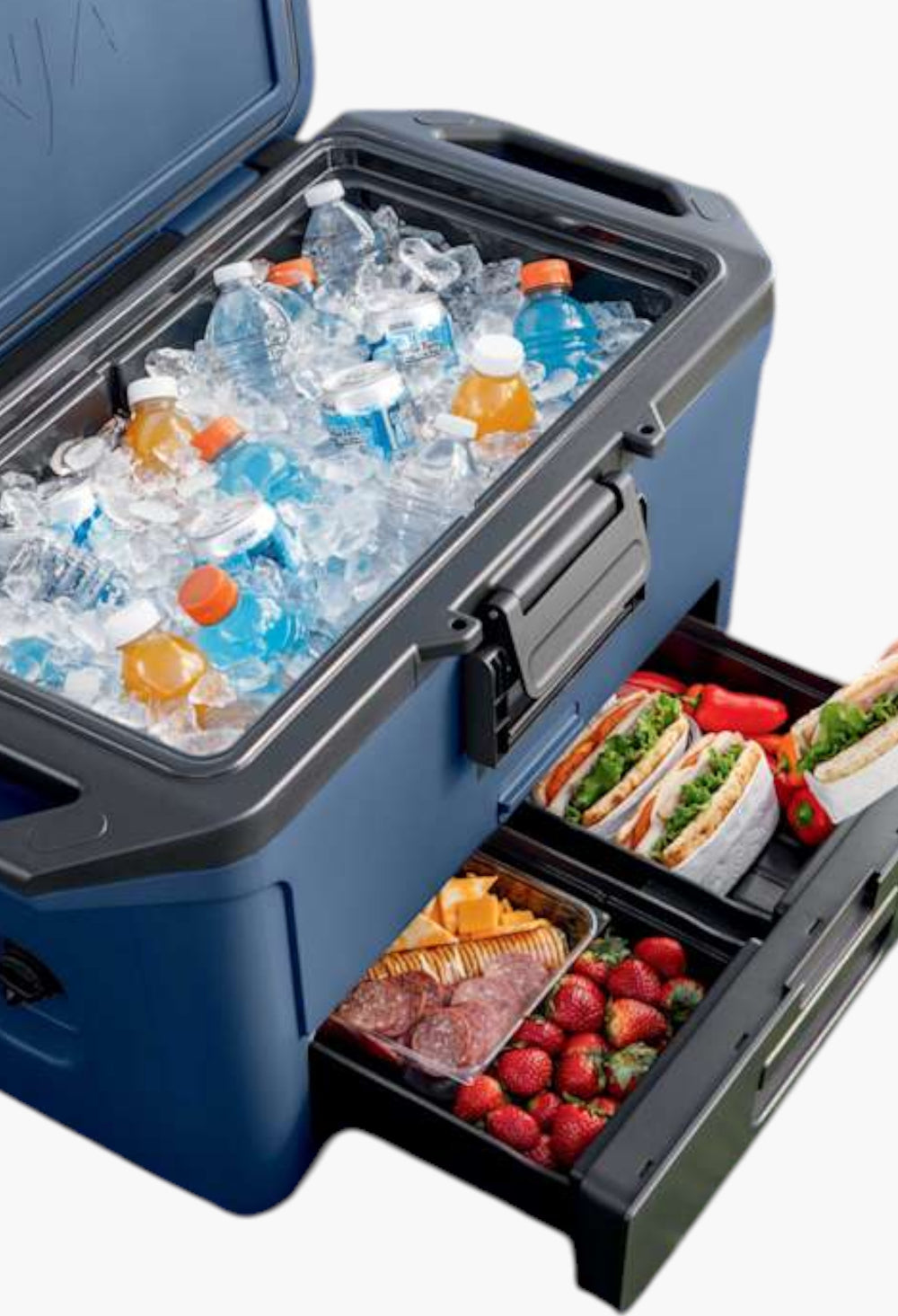 Ninja FrostVault™ 50qt Cooler in Poolside Punch - GLAM MODA