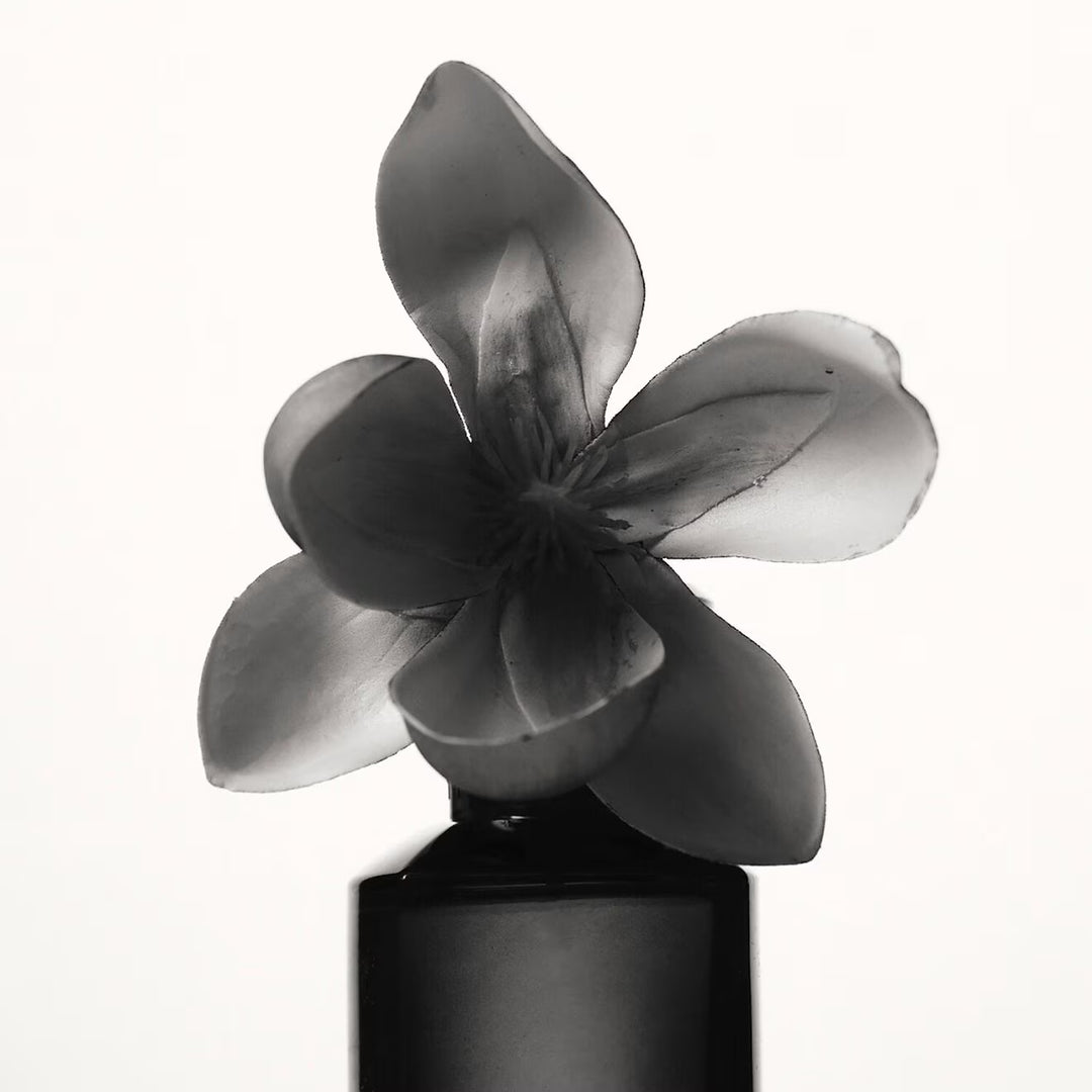 Fenty Eau De Parfum - GLAM MODA