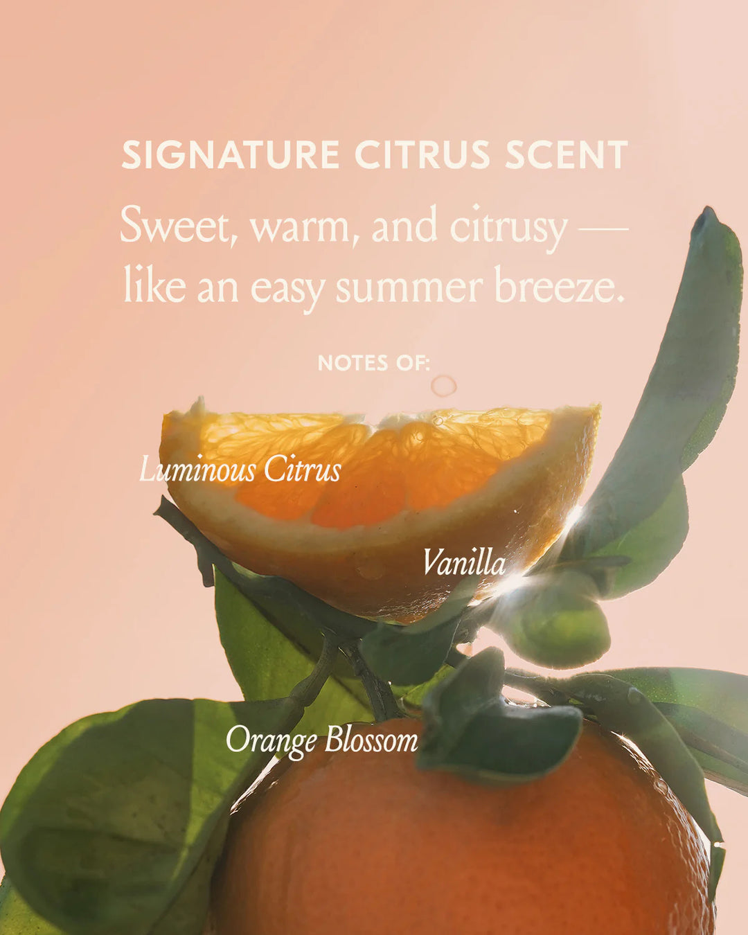 Freshly Squeezed Wash Dae Set - GLAM MODA