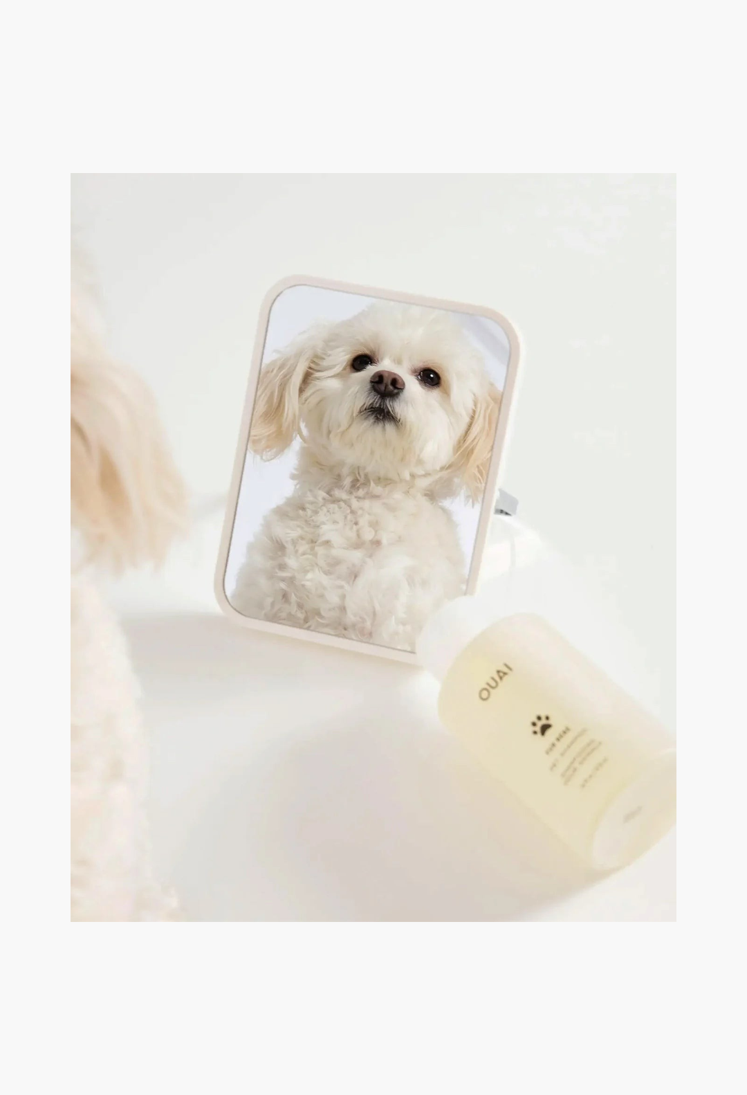 GLAM MODA Fur Bébé gentle pet shampoo bottle reflected in a mirror with a fluffy white dog looking back
