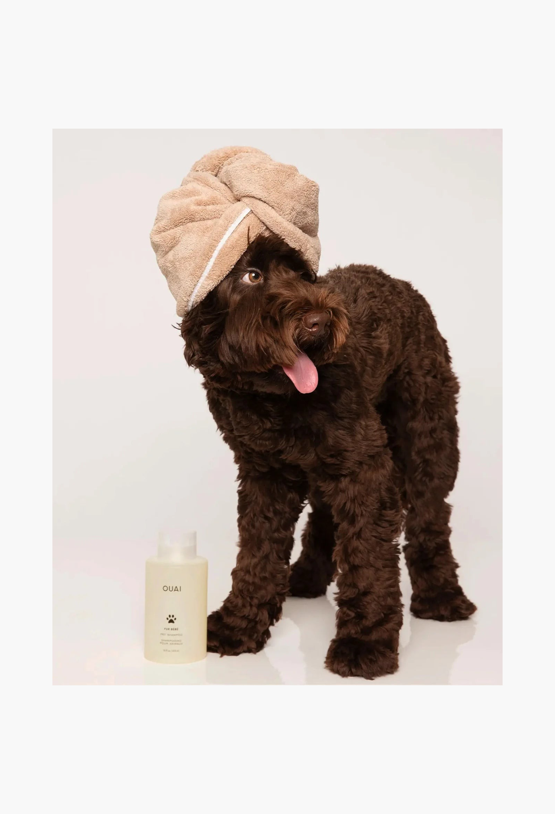 GLAM MODA Fur Bébé gentle pet shampoo bottle next to a cute brown dog wearing a beige towel wrap on its head