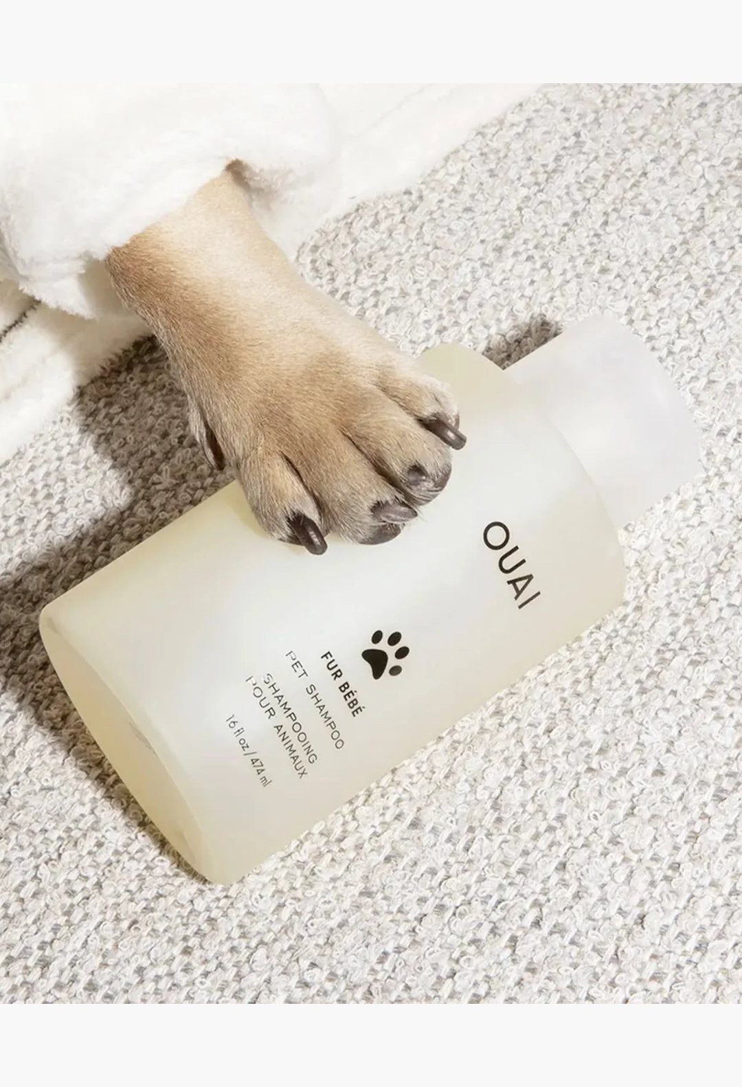 GLAM MODA Fur Bébé gentle pet shampoo bottle held by a dog paw, featuring a translucent container for cats and dogs.