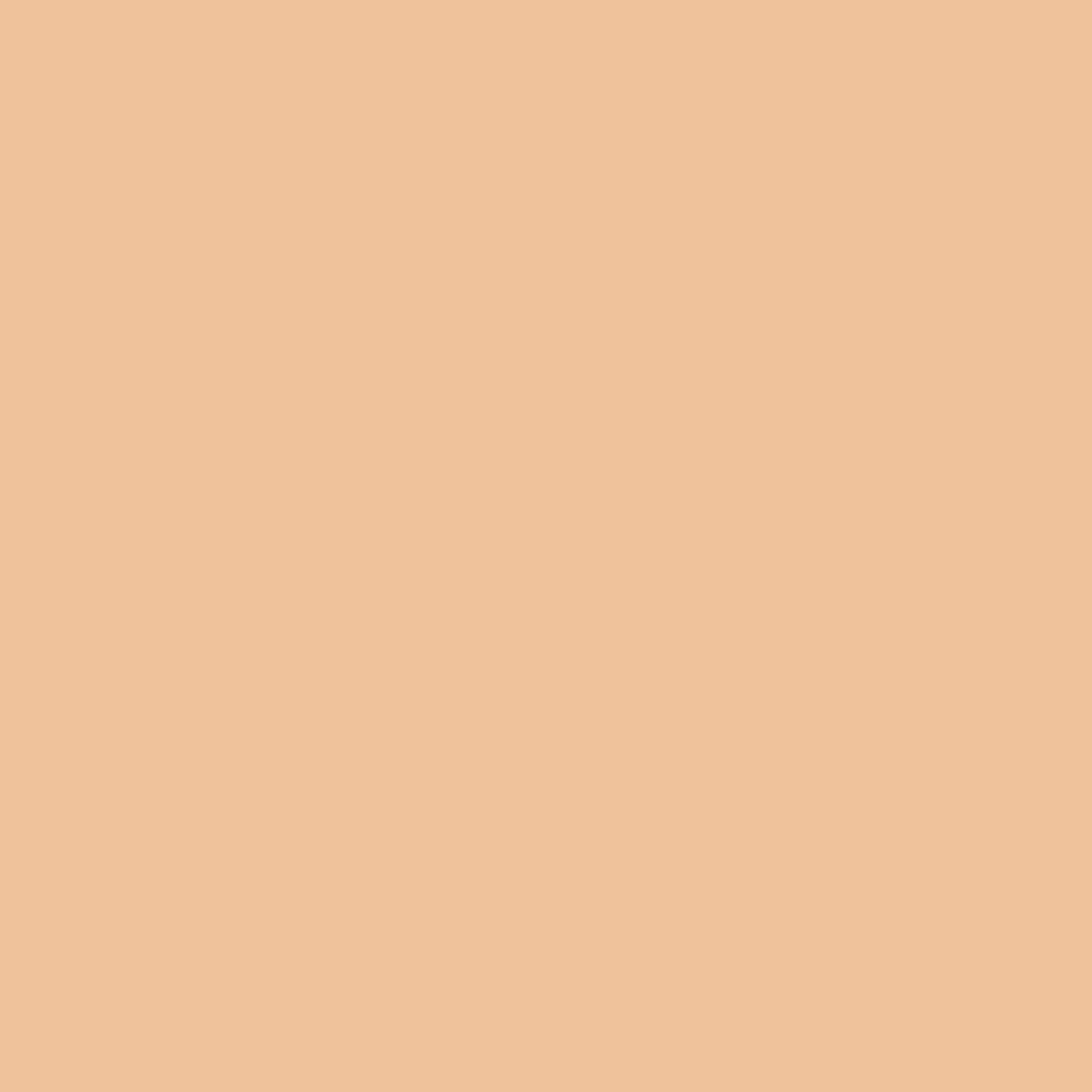 SKIN TINT LONGWEAR & CARE