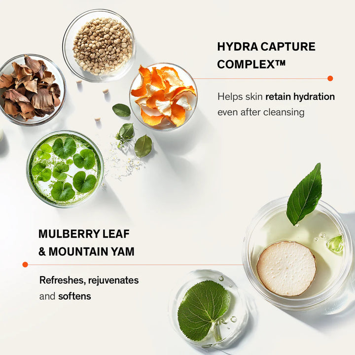 Gentle Cleansing Foam - Cleanse & Balance - GLAM MODA