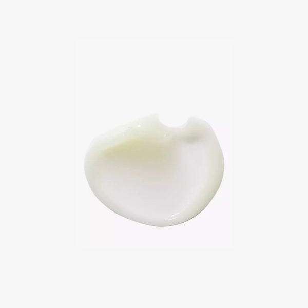Ginseng Infusion - Tensor Effect Day Cream