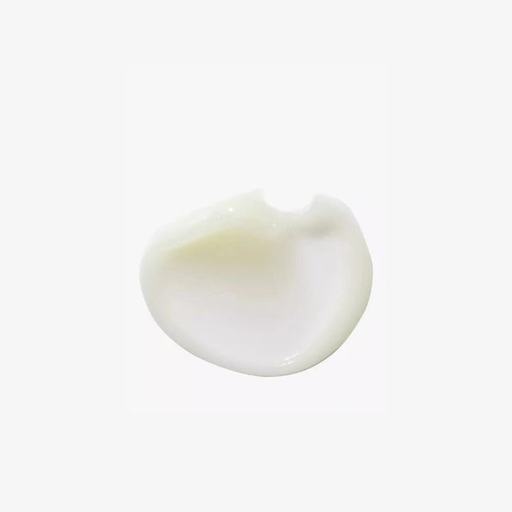 Ginseng Infusion - Tensor Effect Day Cream - GLAM MODA