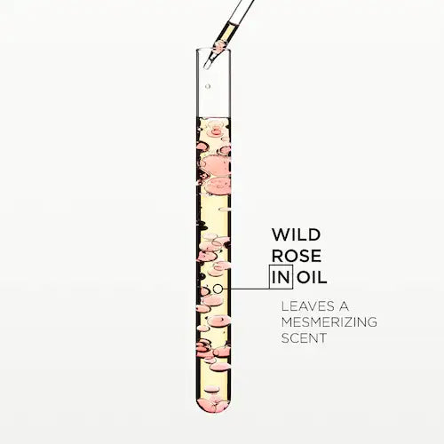 Gloss Absolu Glaze Drops Anti-Frizz Hair Oil - GLAM MODA