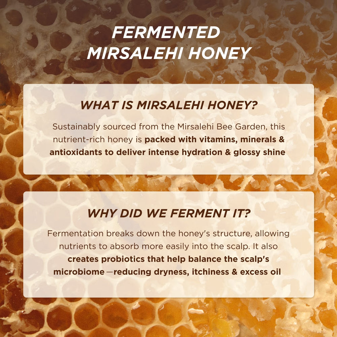 Honey Gloss Ceramide Therapy Hydrating Shampoo 250ml - GLAM MODA