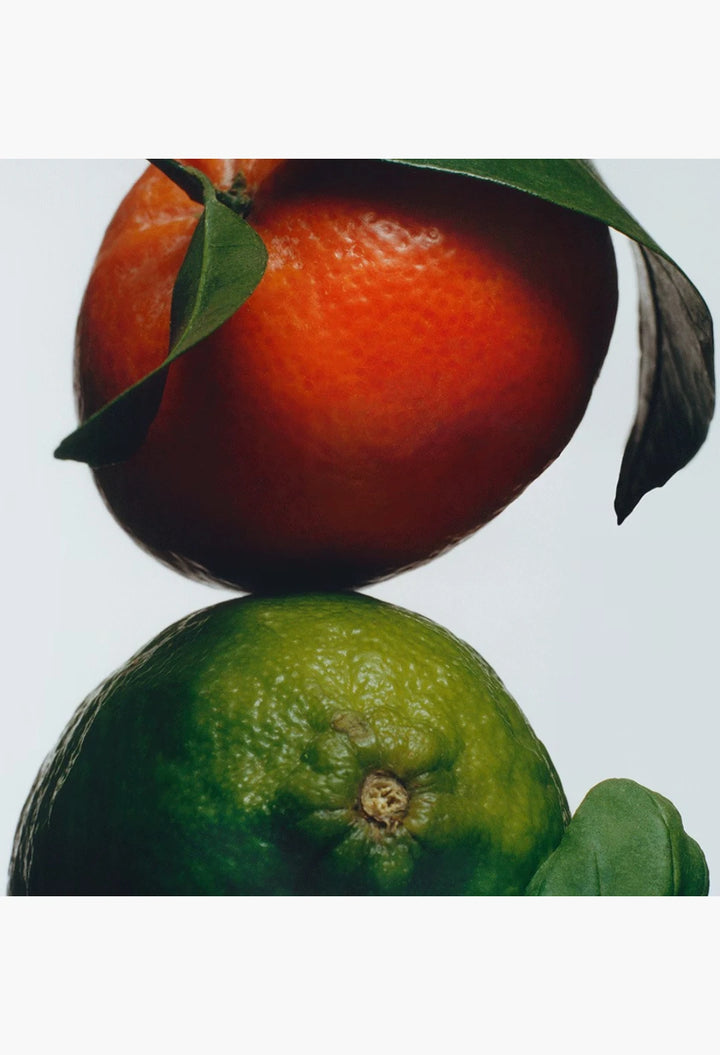 Lime Basil & Mandarin Scented Candle