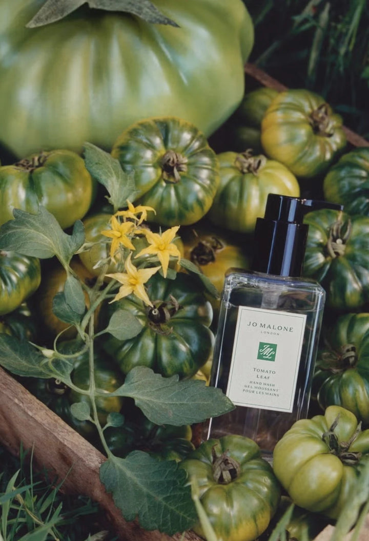 Jo Malone London Tomato Leaf Hand Wash