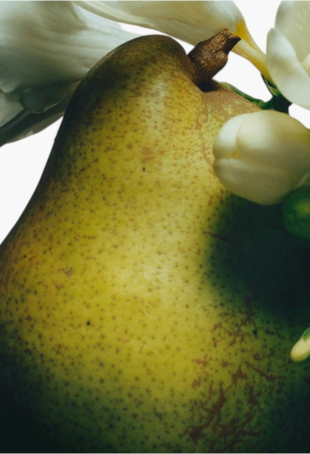 English Pear & Freesia Cologne