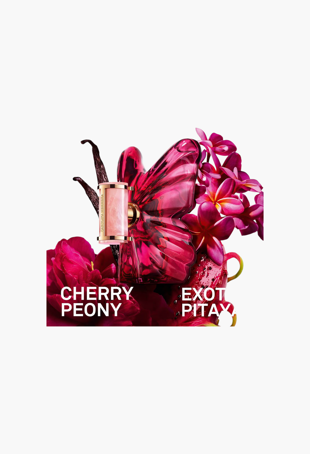 La Bomba Eau de Parfum - GLAM MODA