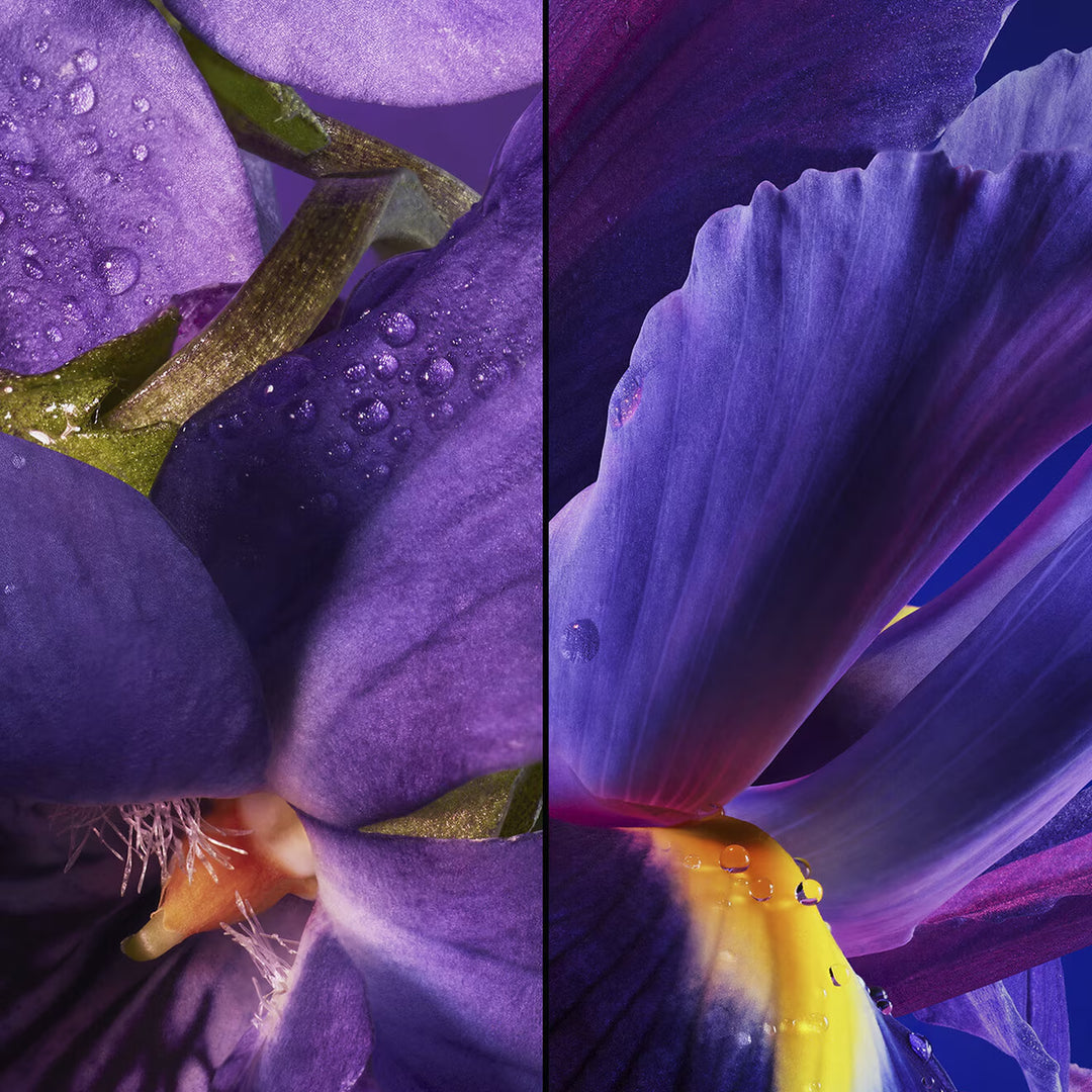 Les Légendaires Insolence – Eau de Parfum - GLAM MODA