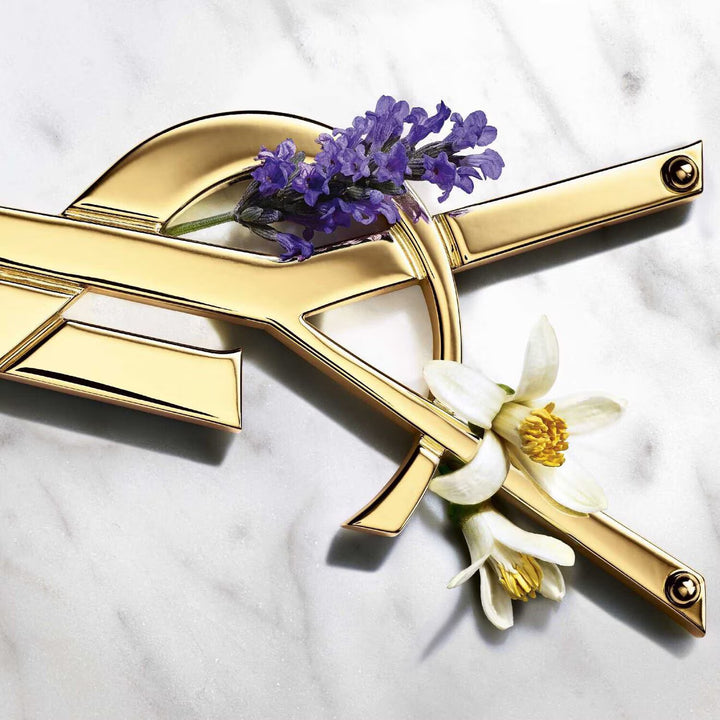 Libre - Eau de Parfum - GLAM MODA