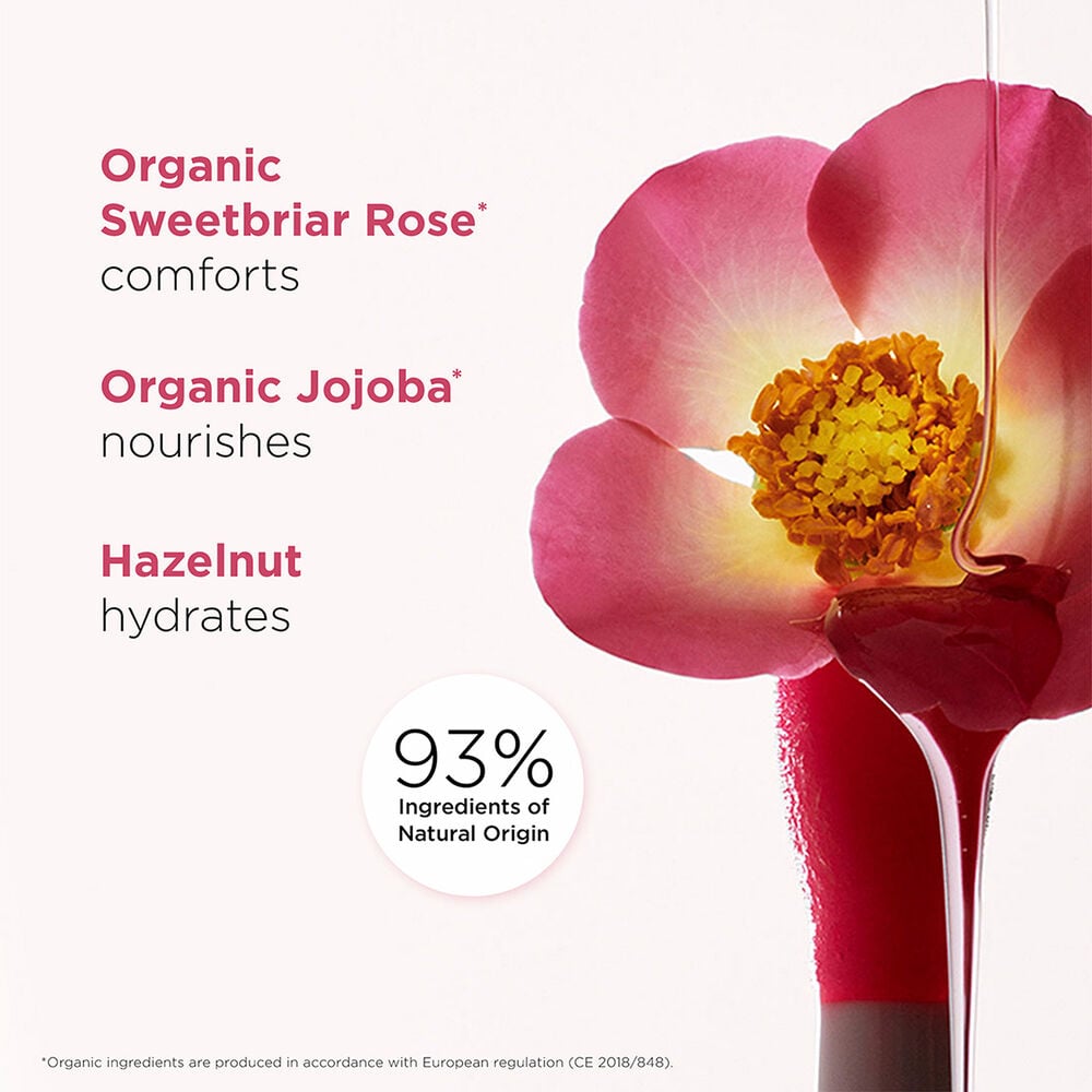 Lip Comfort Oil - Gloss With Rubiginosa Rose Oil - GLAM MODA