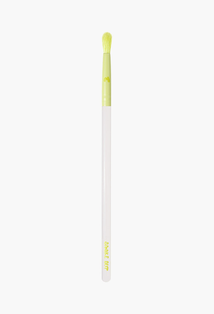Pro Face & Eye Brush Collection