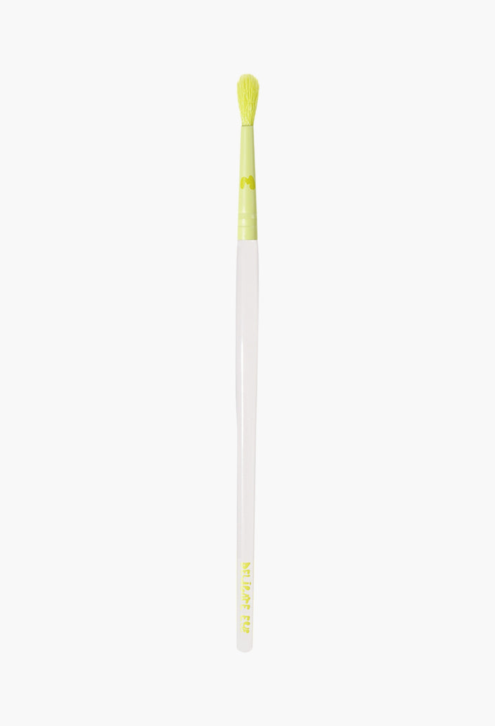 Pro Face & Eye Brush Collection