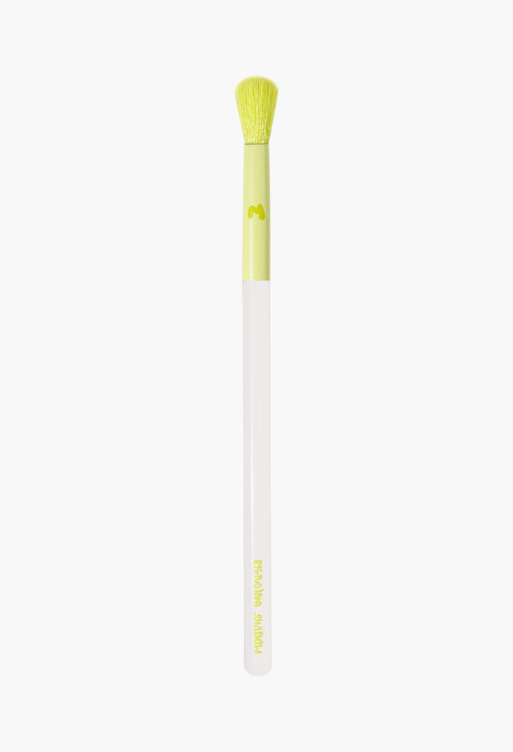 Pro Face & Eye Brush Collection