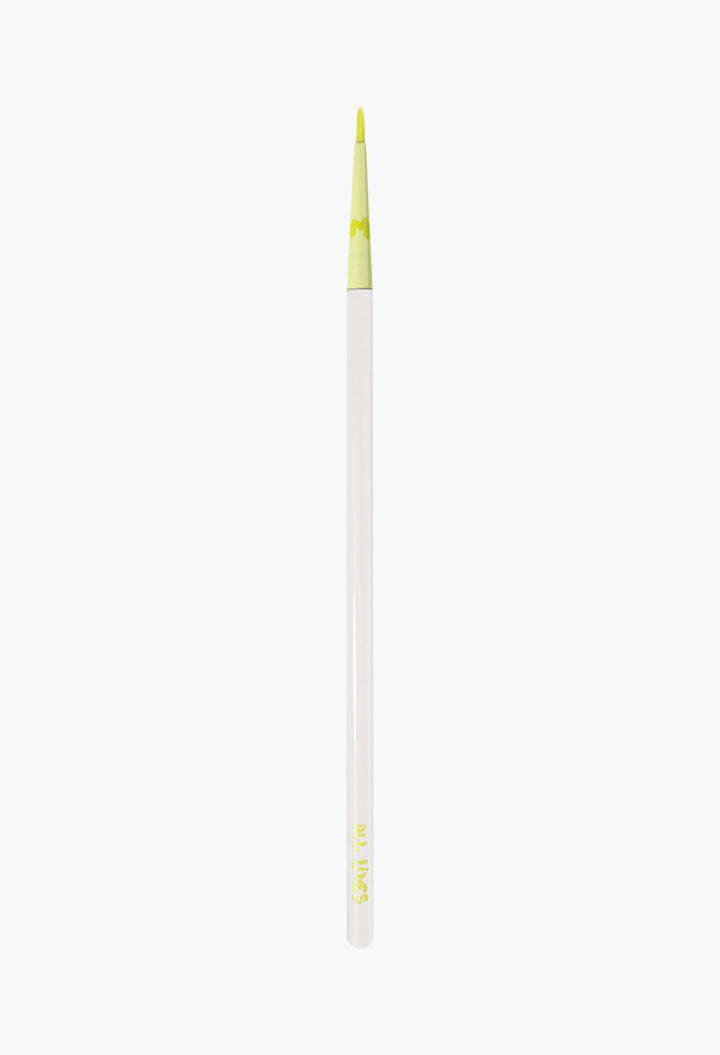 Pro Face & Eye Brush Collection