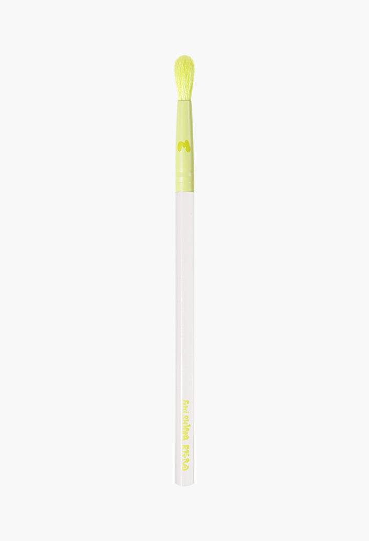 Pro Face & Eye Brush Collection