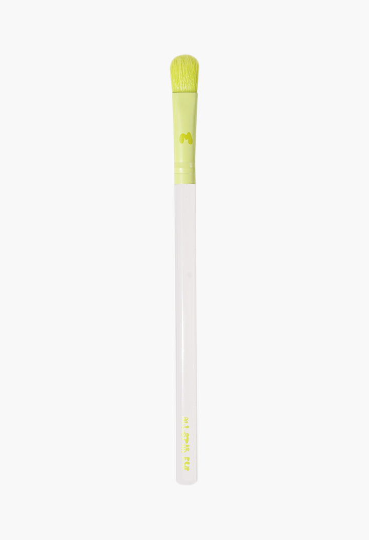 Pro Face & Eye Brush Collection