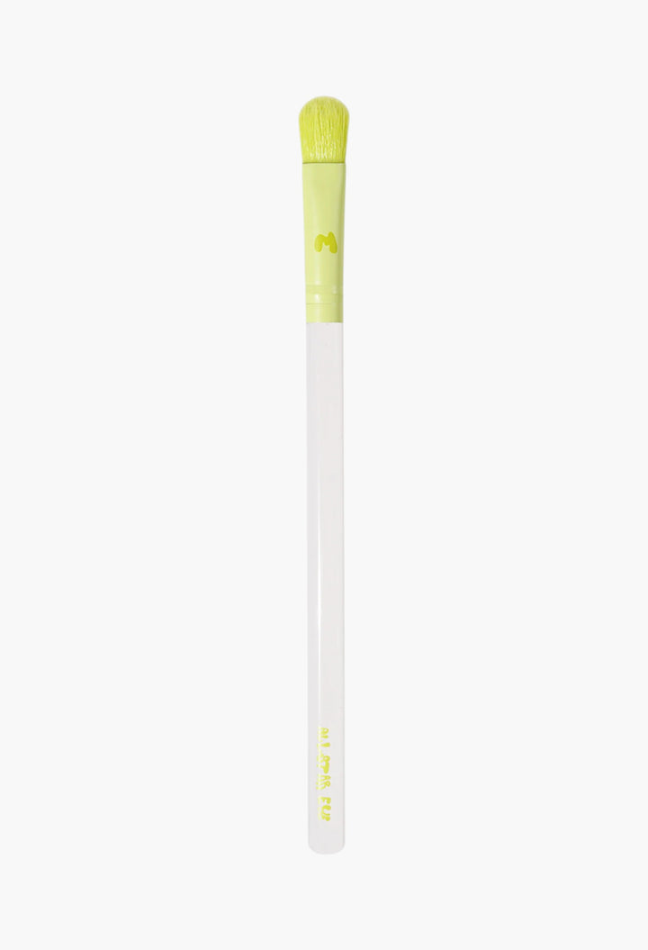 Pro Face & Eye Brush Collection