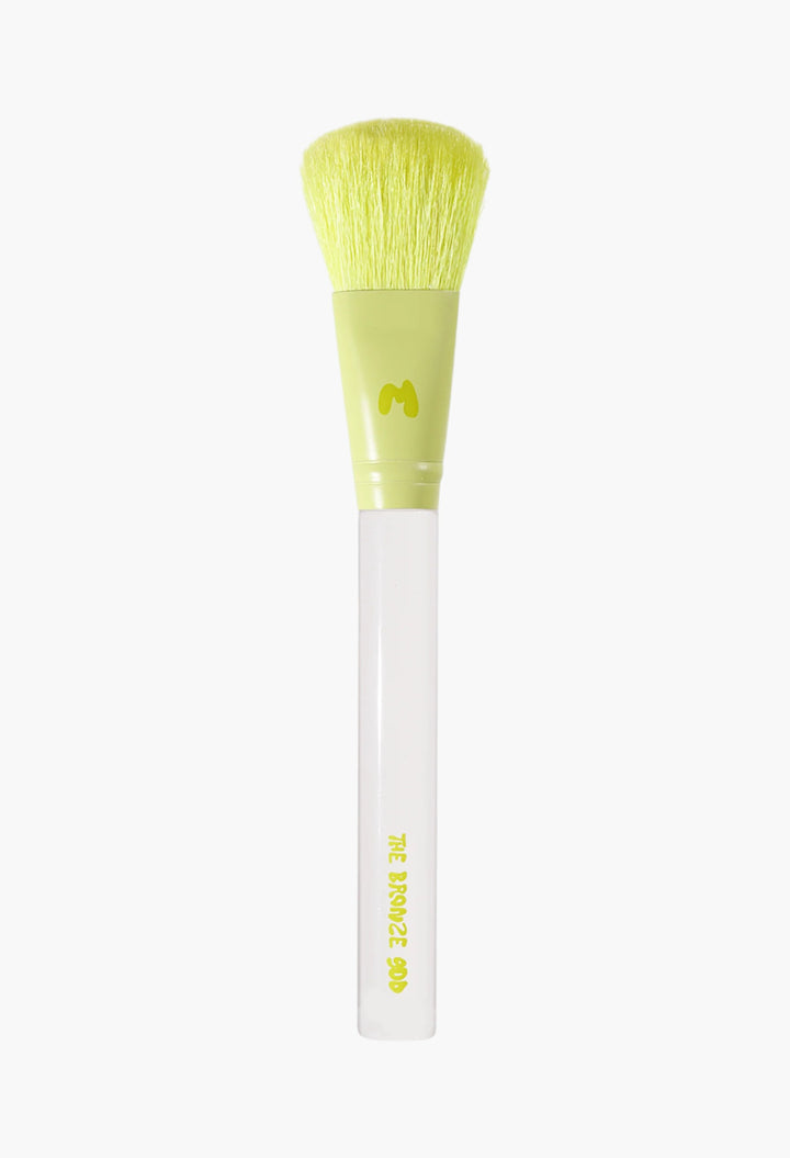 Pro Face & Eye Brush Collection