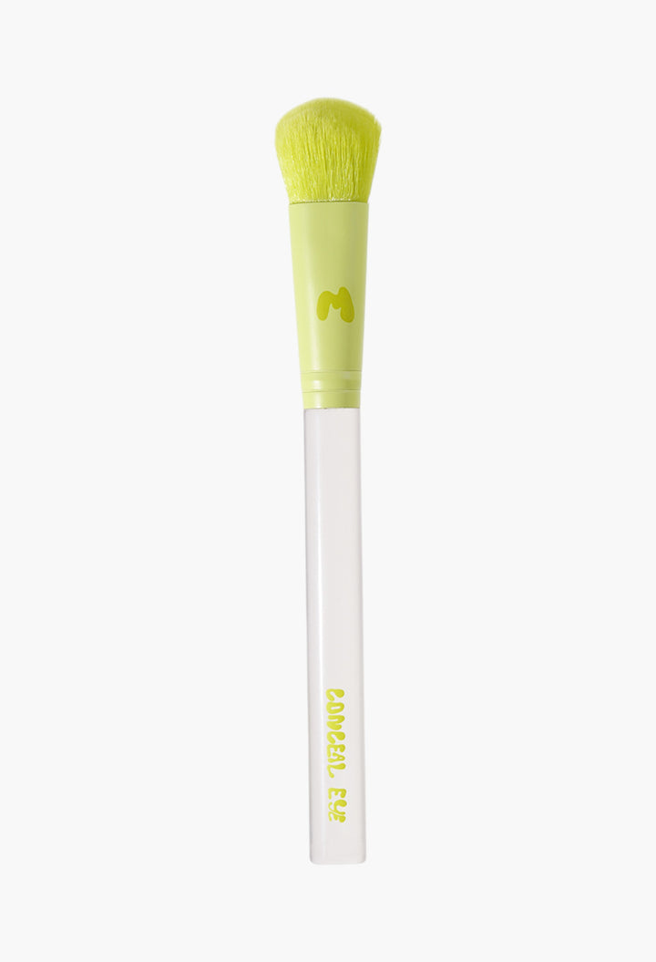 Pro Face & Eye Brush Collection
