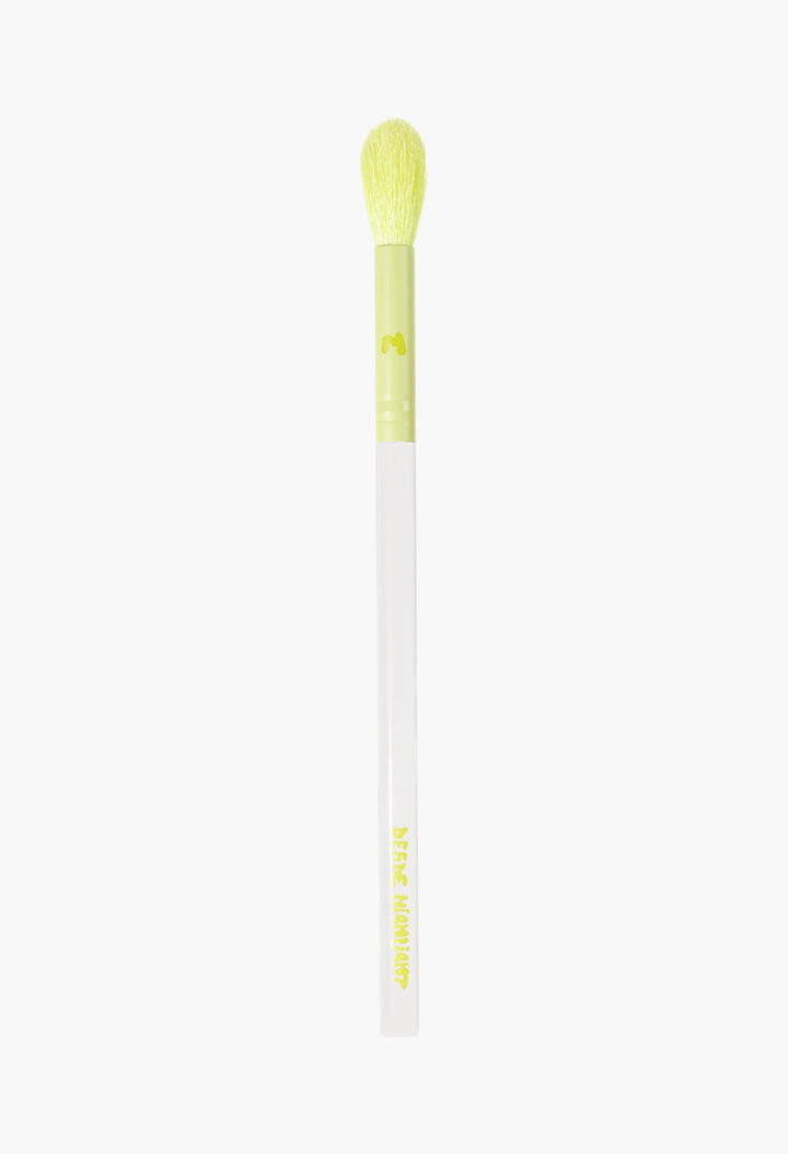 Pro Face & Eye Brush Collection