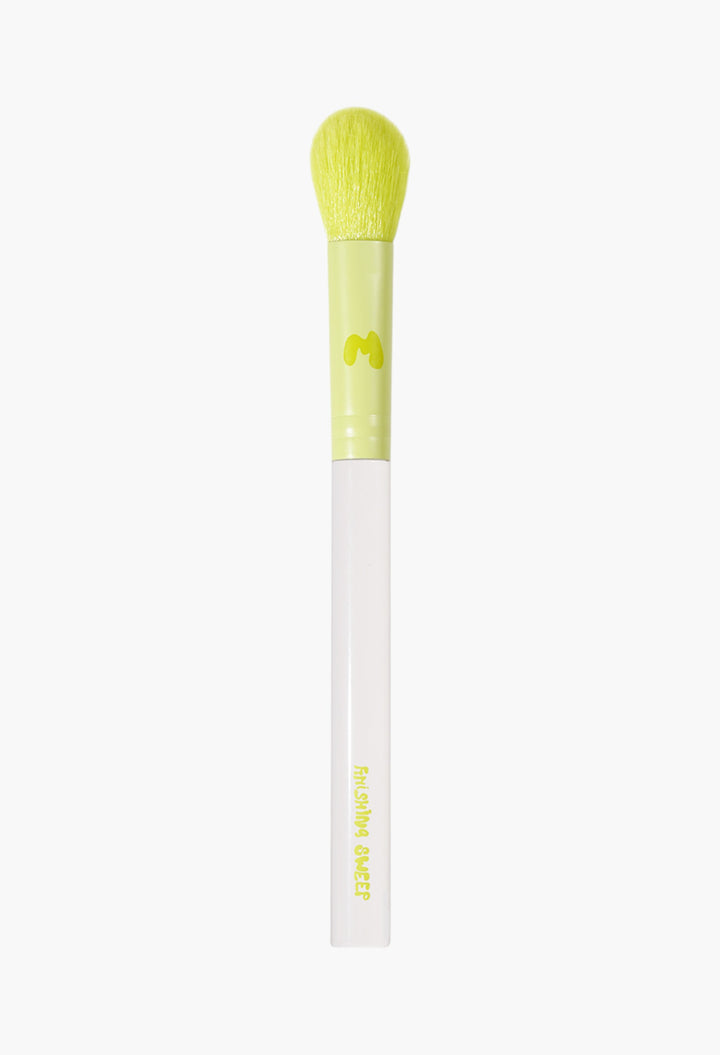 Pro Face & Eye Brush Collection