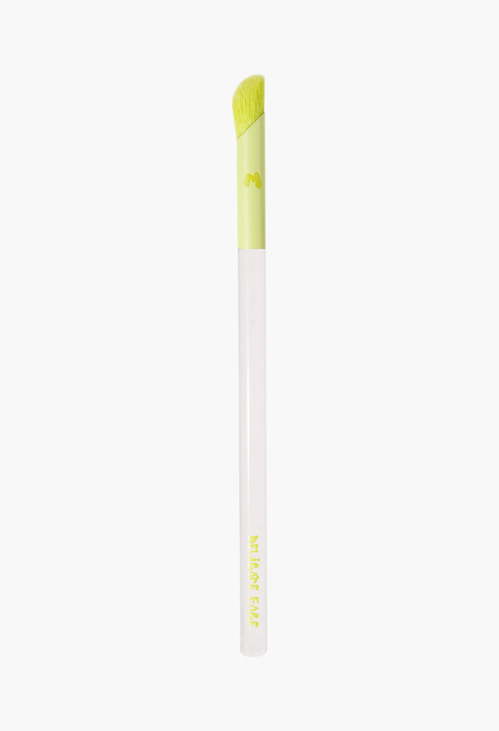 Pro Face & Eye Brush Collection