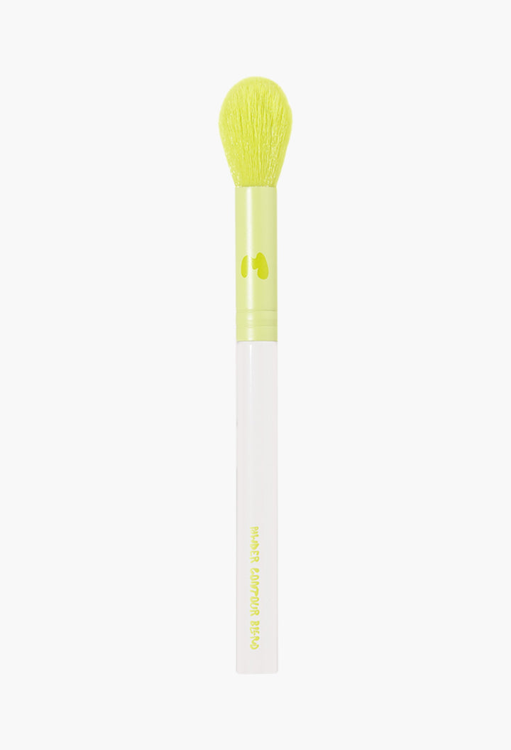 Pro Face & Eye Brush Collection