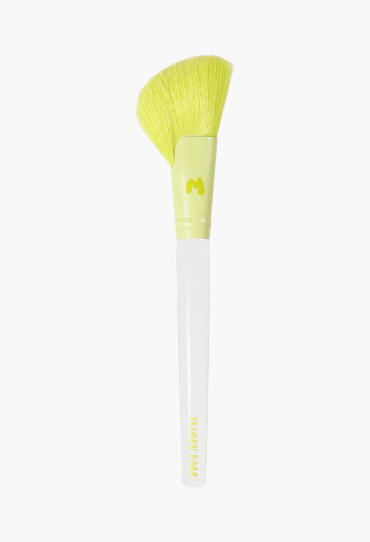 Pro Face & Eye Brush Collection