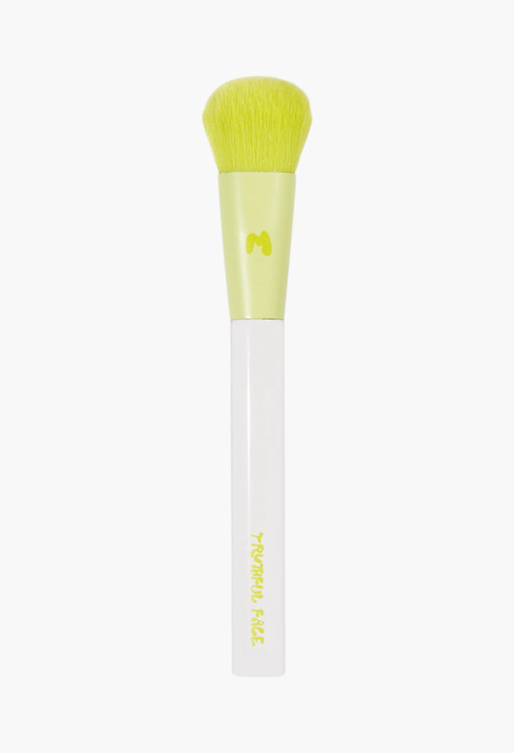 Pro Face & Eye Brush Collection