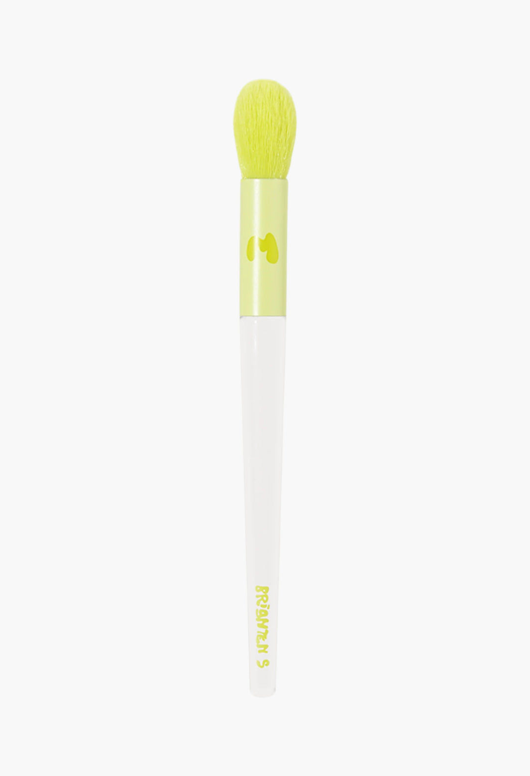 Pro Face & Eye Brush Collection