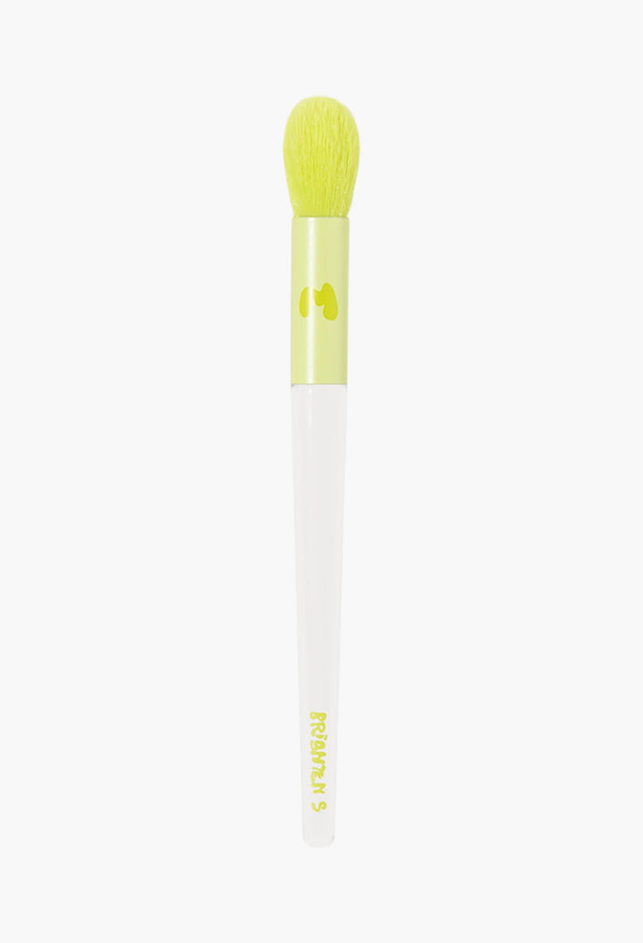 Pro Face & Eye Brush Collection