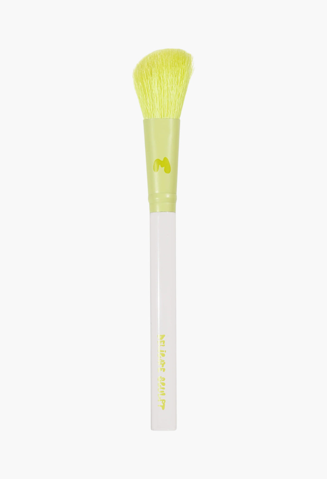 Pro Face & Eye Brush Collection