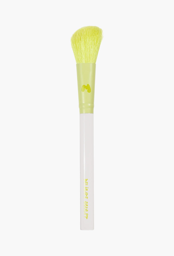 Pro Face & Eye Brush Collection
