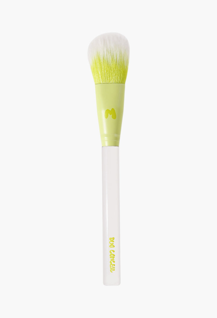 Pro Face & Eye Brush Collection