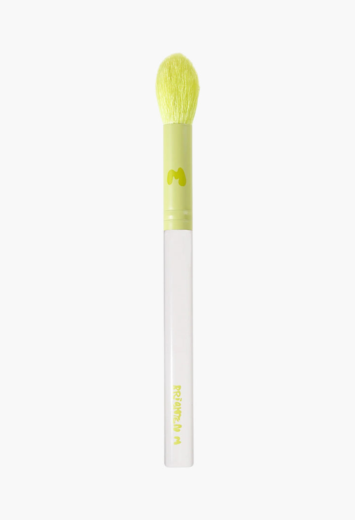 Pro Face & Eye Brush Collection