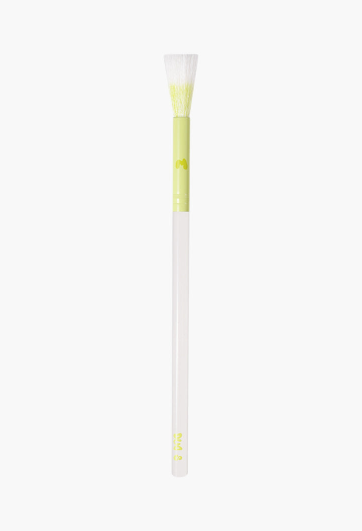 Pro Face & Eye Brush Collection