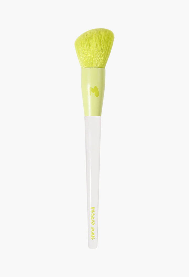 Pro Face & Eye Brush Collection