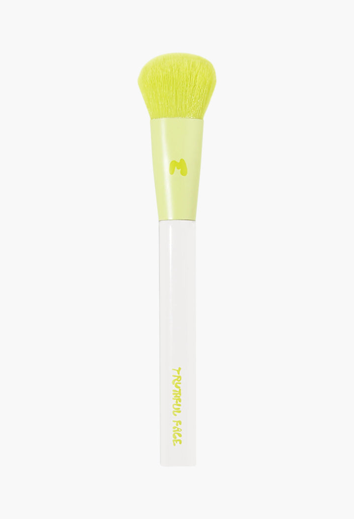 Pro Face & Eye Brush Collection