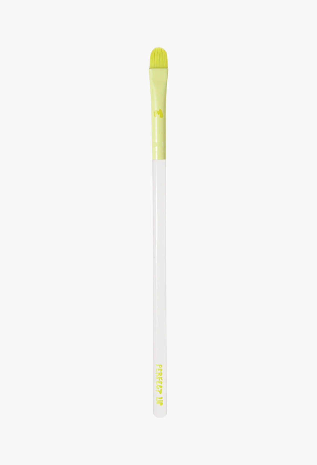 Pro Face & Eye Brush Collection
