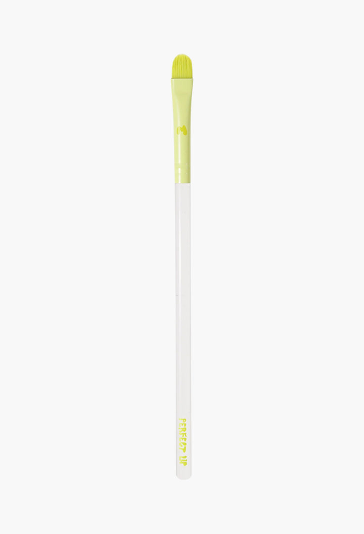 Pro Face & Eye Brush Collection
