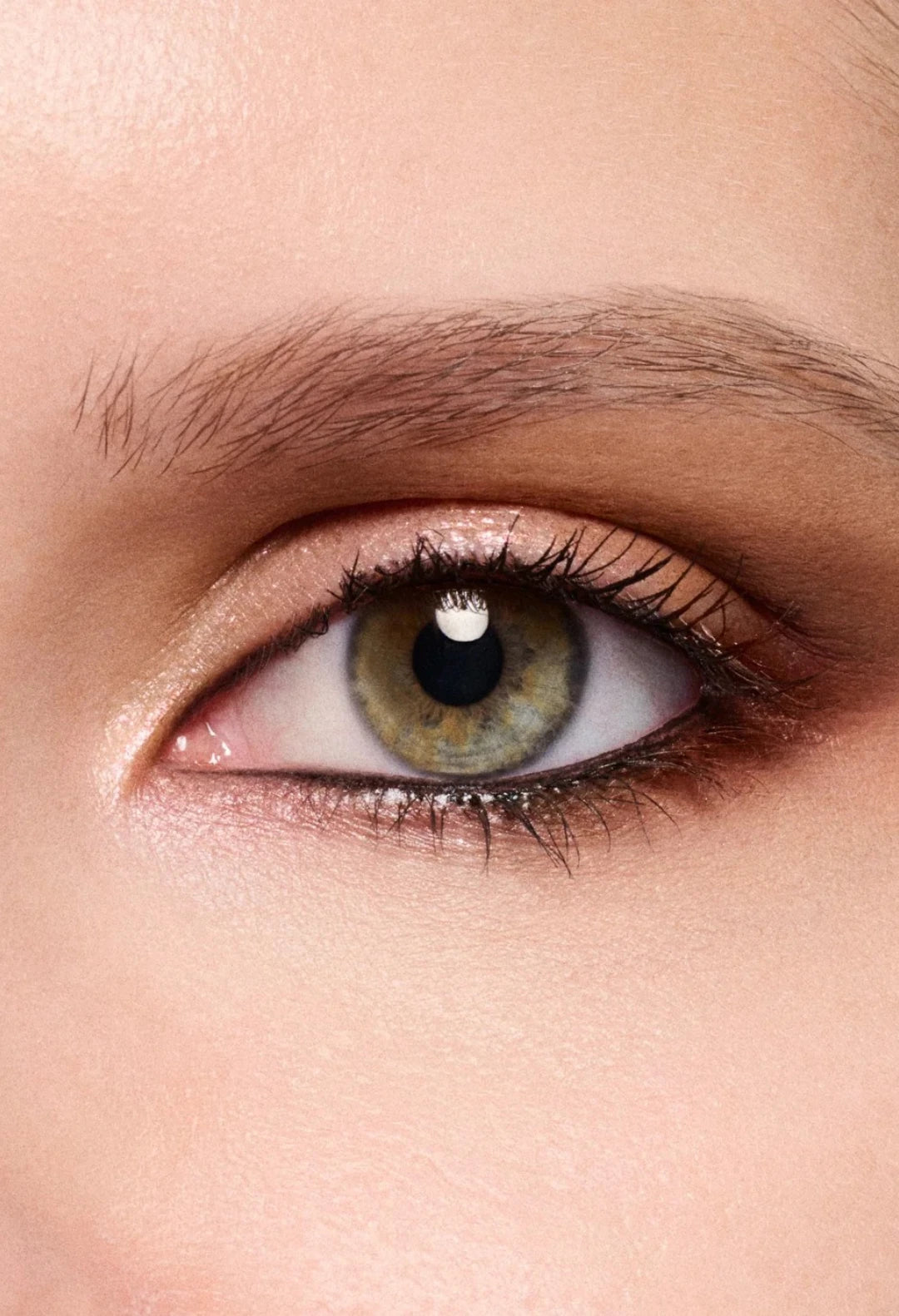 Eye Shadow Palette x4 / Sepia Collection
