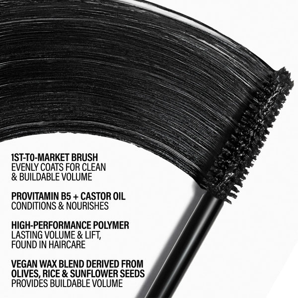 Master Mascara
