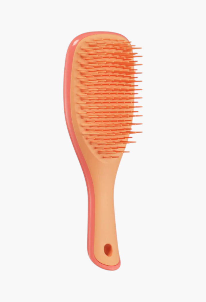Mini Salmon Pink & Apricot - The Ultimate Detangler - GLAM MODA