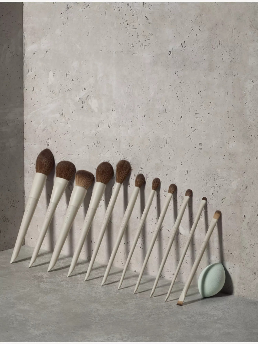 Morphe x Ariel Signature Look 12-piece face and eye brush set - GLAM MODA